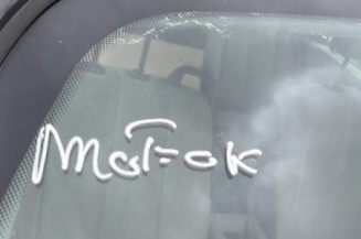 Jante RENAULT SCENIC 2