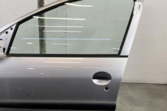 Porte avant gauche PEUGEOT 206+ Photo n°1