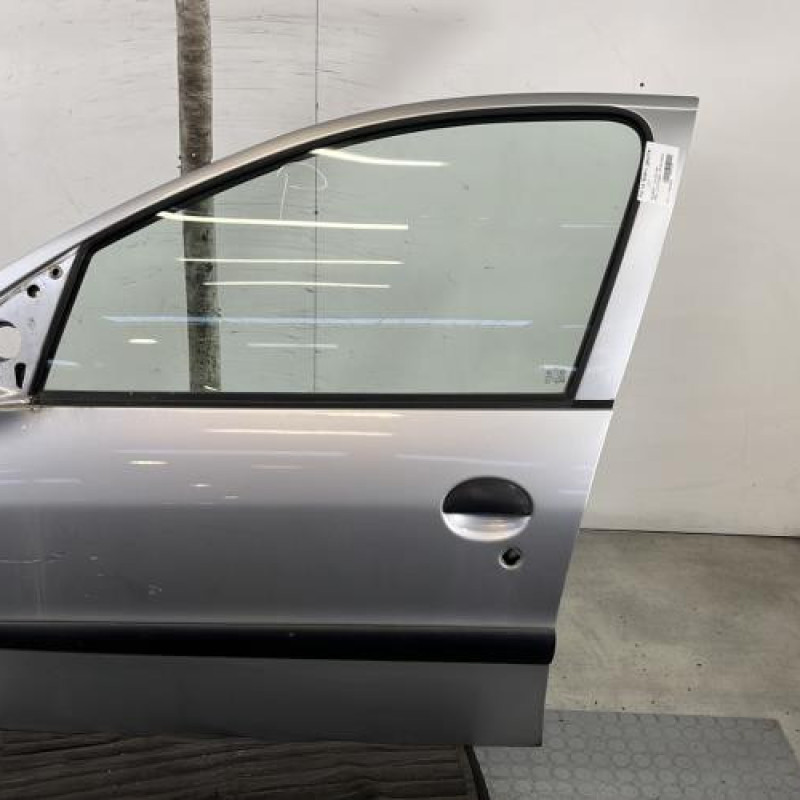 Porte avant gauche PEUGEOT 206+ Photo n°1