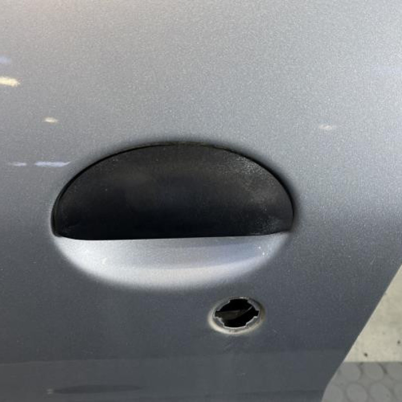 Porte avant gauche PEUGEOT 206+ Photo n°2