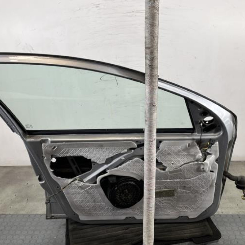 Porte avant gauche PEUGEOT 206+ Photo n°5