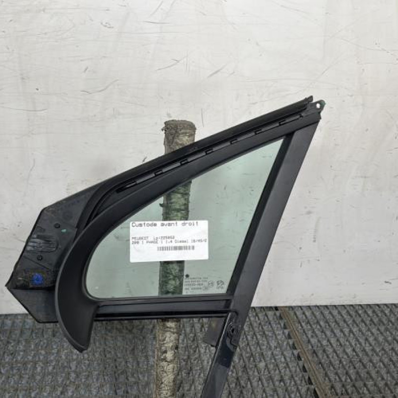 Custode avant droit (porte) PEUGEOT 208 1 Photo n°4