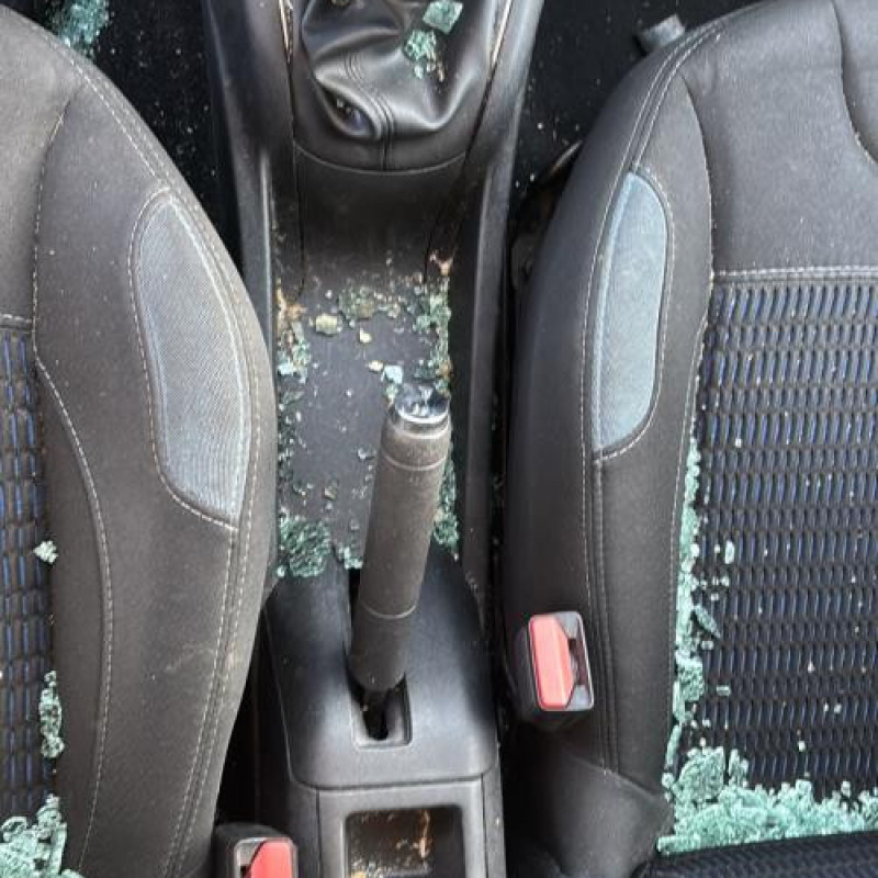 Custode avant droit (porte) PEUGEOT 208 1 Photo n°20