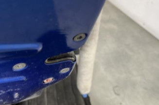 Porte arriere gauche PEUGEOT 206+