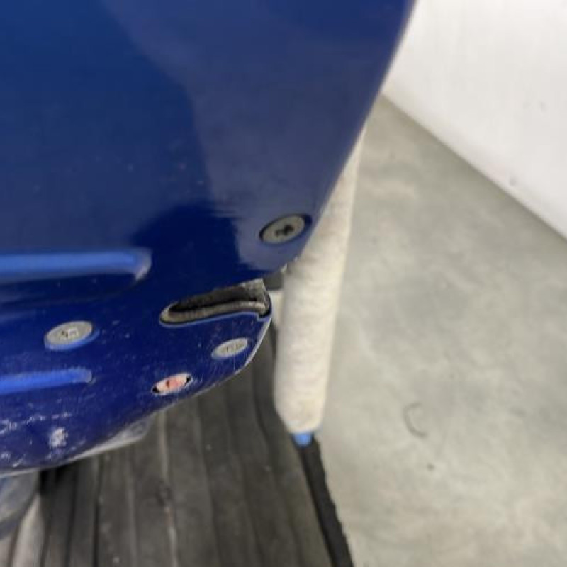 Porte arriere gauche PEUGEOT 206+ Photo n°3