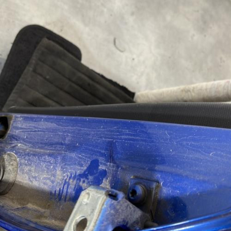 Porte arriere gauche PEUGEOT 206+ Photo n°4