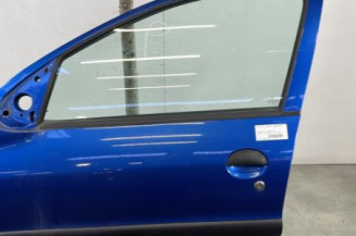 Porte avant gauche PEUGEOT 206+ Photo n°1