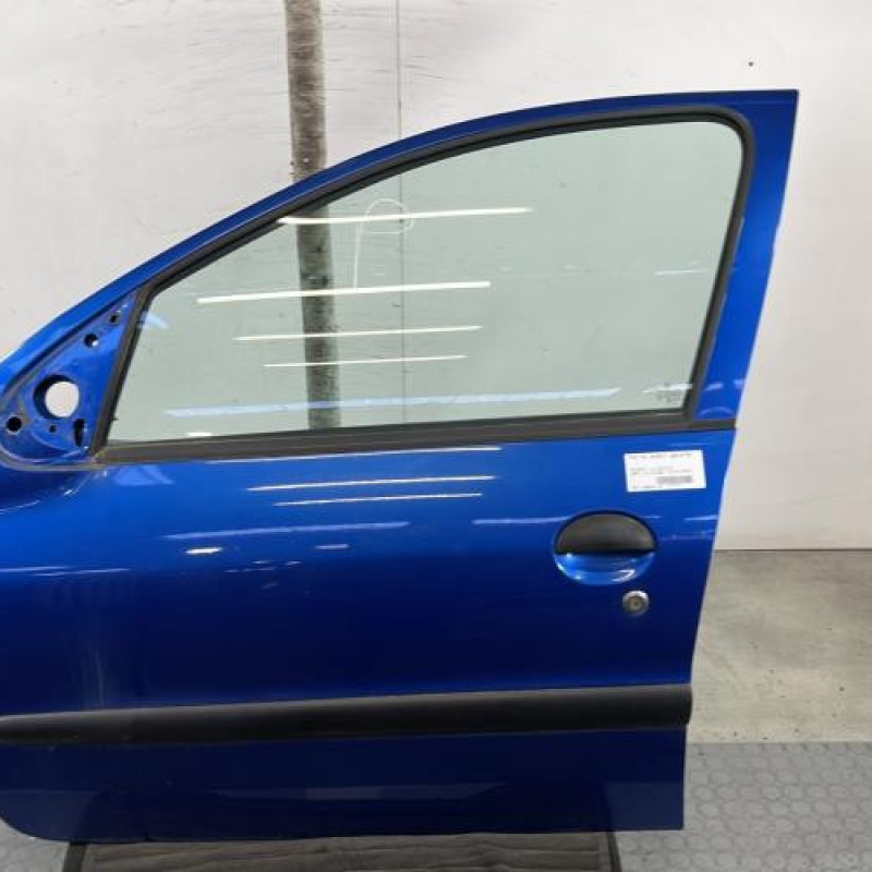 Porte avant gauche PEUGEOT 206+ Photo n°1