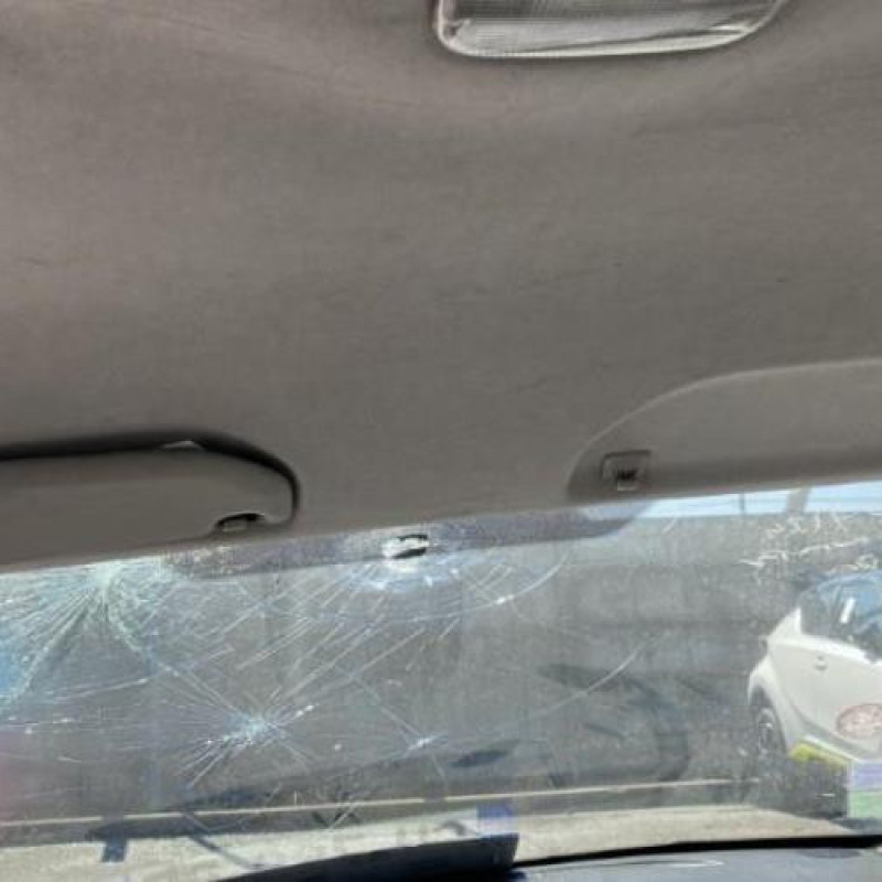 Pare soleil gauche CITROEN C3 1 Photo n°10