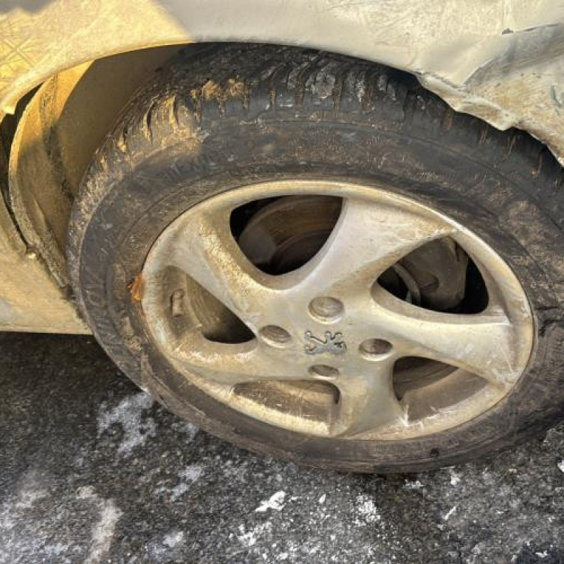 Feu arriere principal gauche (feux) PEUGEOT 206 Photo n°14