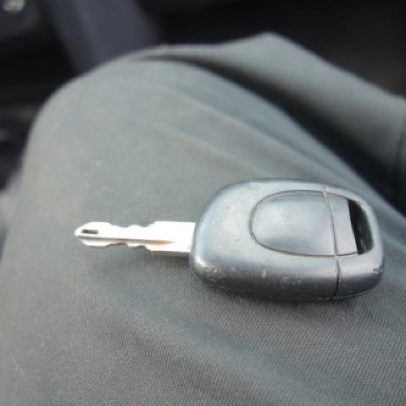 Pulseur d'air RENAULT CLIO 2 Photo n°8