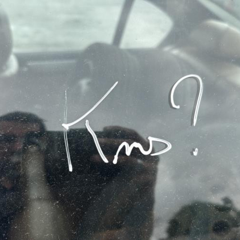 Pare soleil gauche BMW SERIE 3 E46 Photo n°20