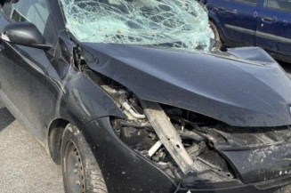 Retroviseur droit RENAULT MEGANE 3