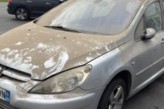 Mastervac PEUGEOT 307 Photo n°1