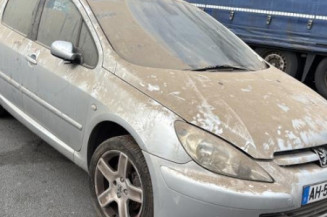 Mastervac PEUGEOT 307