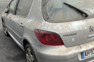 Mastervac PEUGEOT 307