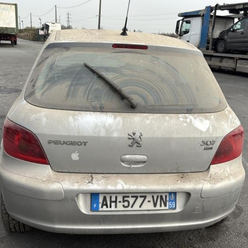 Mastervac PEUGEOT 307 Photo n°5