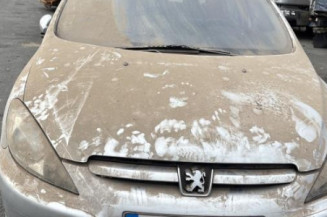 Mastervac PEUGEOT 307