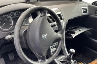 Mastervac PEUGEOT 307