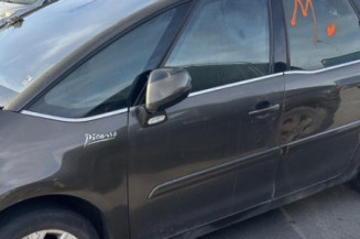 Mastervac CITROEN C4 PICASSO 1