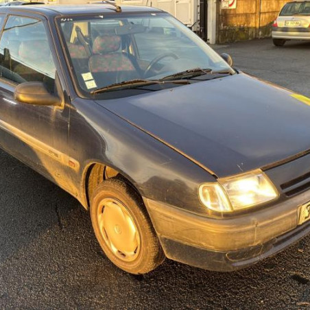 Mastervac CITROEN SAXO