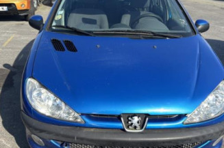 Poignee porte arriere gauche PEUGEOT 206