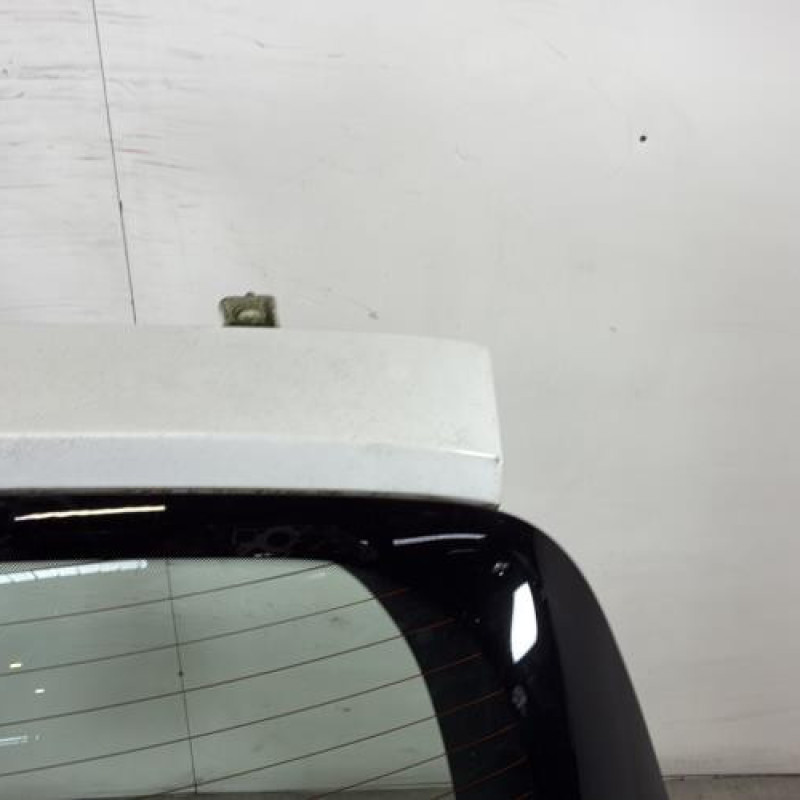 Malle/Hayon arriere RENAULT CLIO 3 Photo n°3