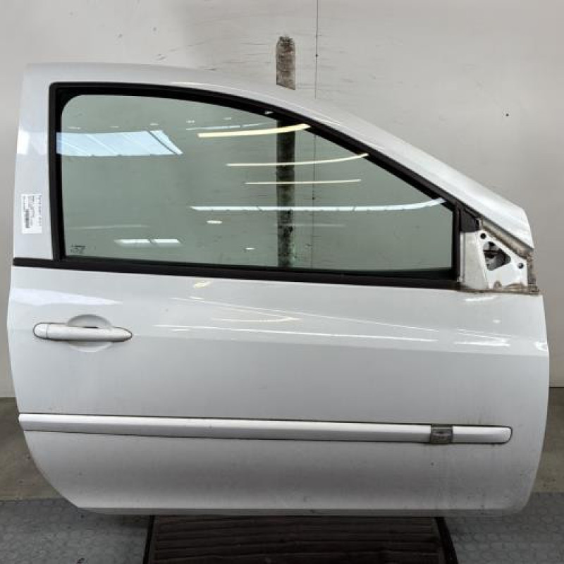 Porte avant droit RENAULT CLIO 3 Photo n°1