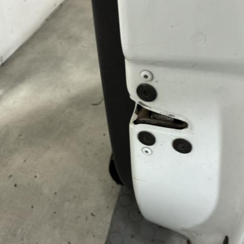 Porte avant droit RENAULT CLIO 3 Photo n°3