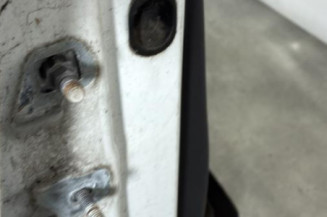 Porte avant droit RENAULT CLIO 3