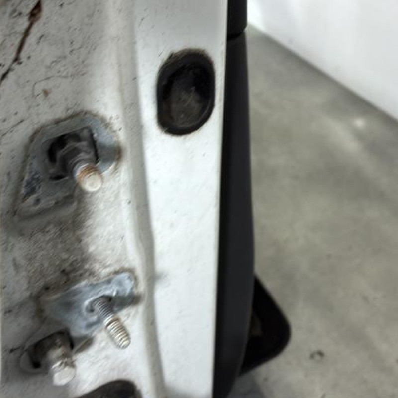 Porte avant droit RENAULT CLIO 3 Photo n°4