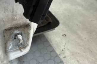 Porte avant droit RENAULT CLIO 3