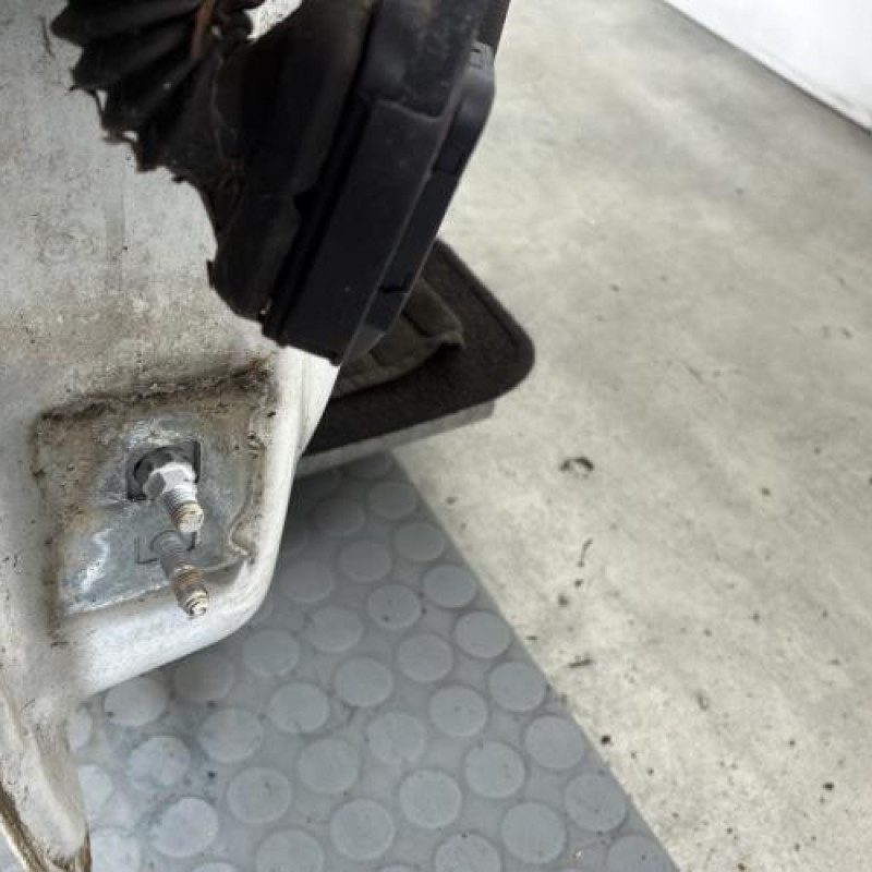 Porte avant droit RENAULT CLIO 3 Photo n°5