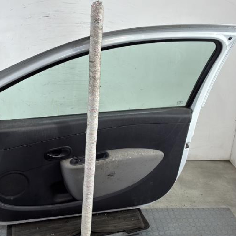 Porte avant droit RENAULT CLIO 3 Photo n°6