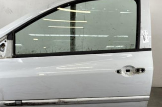 Porte avant gauche RENAULT CLIO 3 Photo n°1