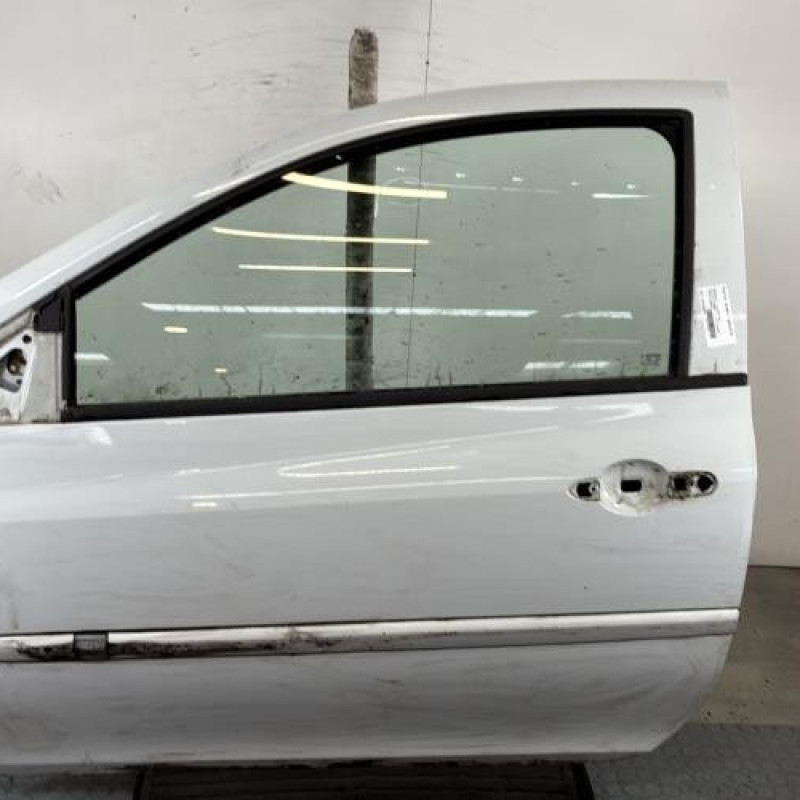 Porte avant gauche RENAULT CLIO 3 Photo n°1