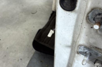 Porte avant gauche RENAULT CLIO 3