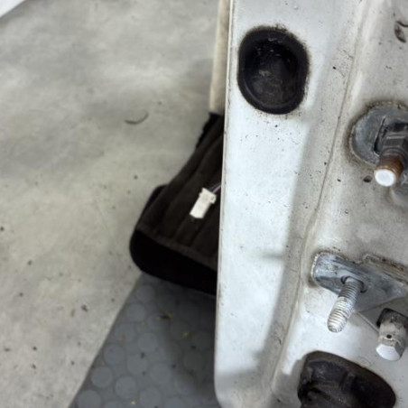 Porte avant gauche RENAULT CLIO 3