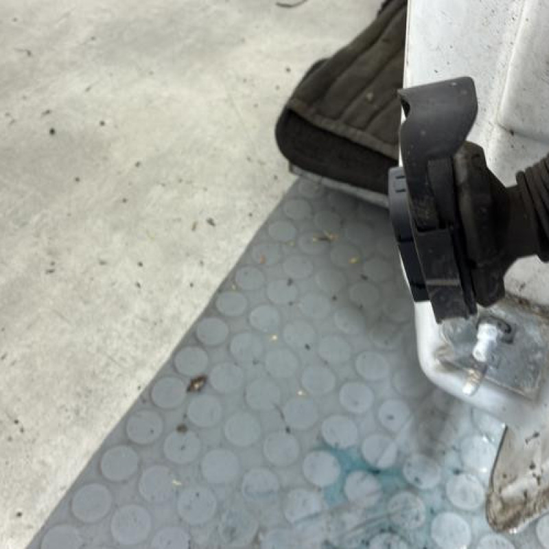 Porte avant gauche RENAULT CLIO 3 Photo n°3