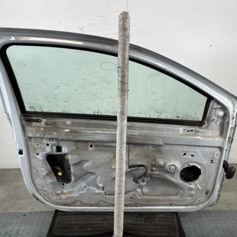 Porte avant gauche RENAULT CLIO 3 Photo n°4