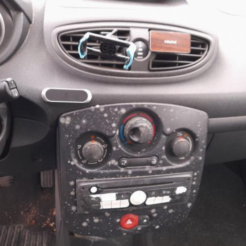 Porte avant gauche RENAULT CLIO 3 Photo n°13