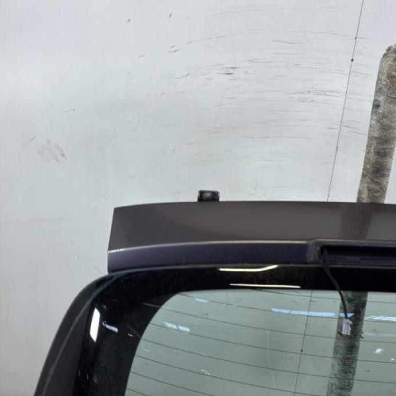 Malle/Hayon arriere RENAULT CLIO 3 Photo n°2