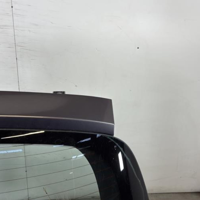 Malle/Hayon arriere RENAULT CLIO 3 Photo n°3