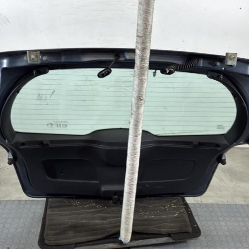 Malle/Hayon arriere RENAULT CLIO 3 Photo n°6