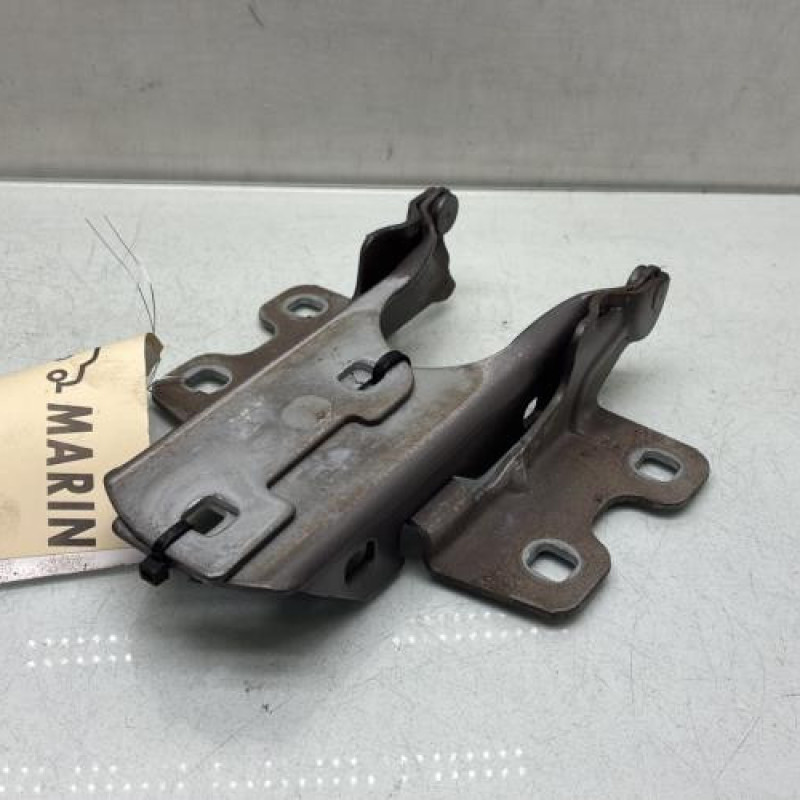 Charniere de capot RENAULT CLIO 2 Photo n°3