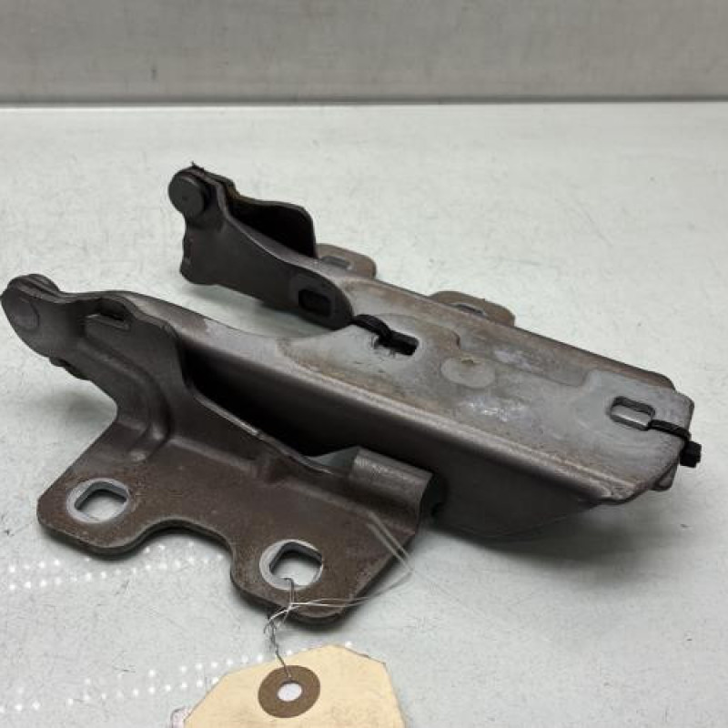 Charniere de capot RENAULT CLIO 2 Photo n°4