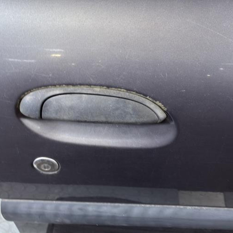 Porte avant droit RENAULT CLIO 2 Photo n°2