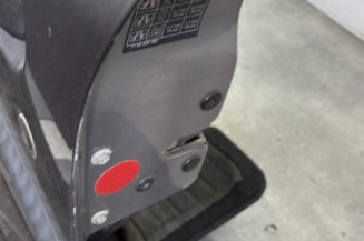 Porte avant gauche RENAULT CLIO 2