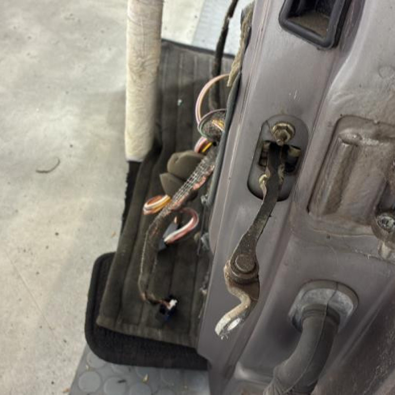 Porte avant gauche RENAULT CLIO 2 Photo n°4