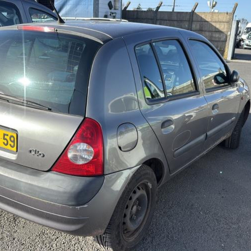 Porte avant gauche RENAULT CLIO 2 Photo n°9